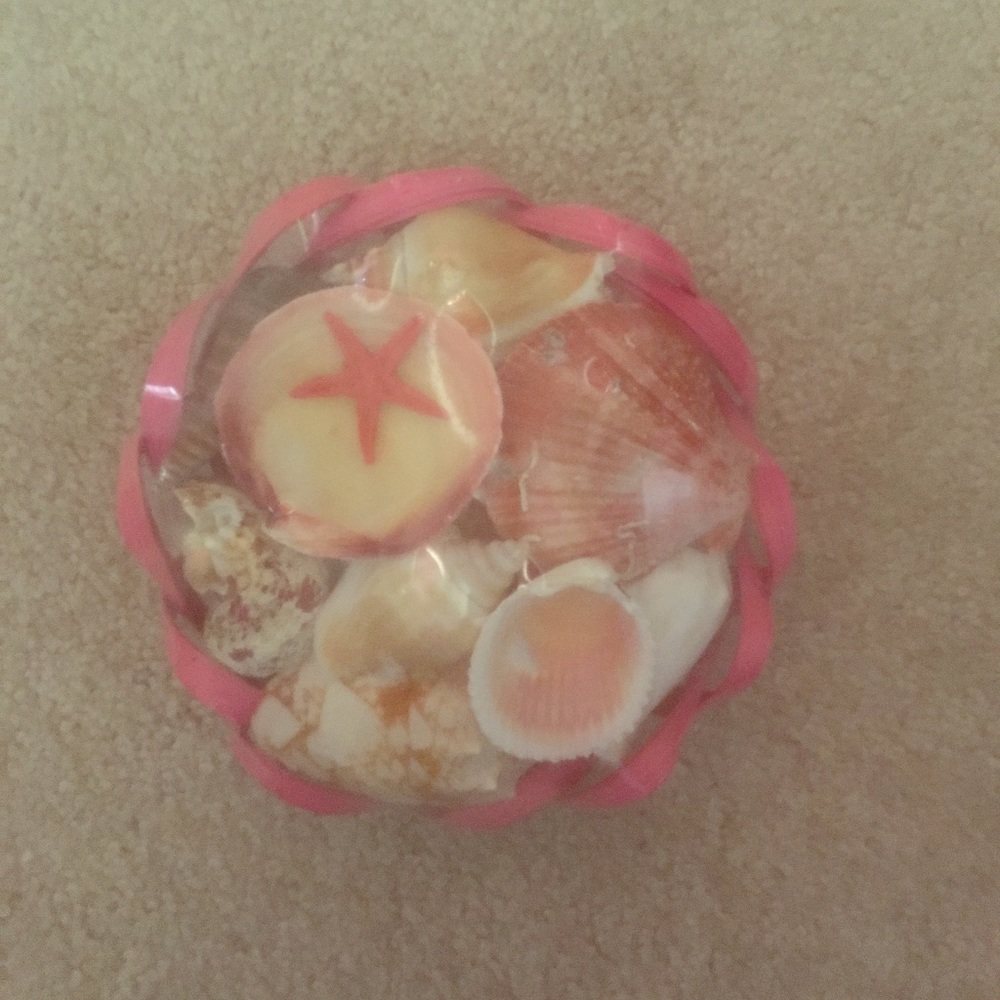 Seashells